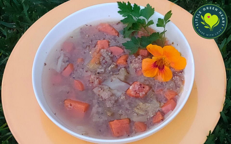 Peruvian Quino Soup